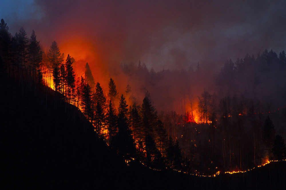 Trees on a hillside burn at night