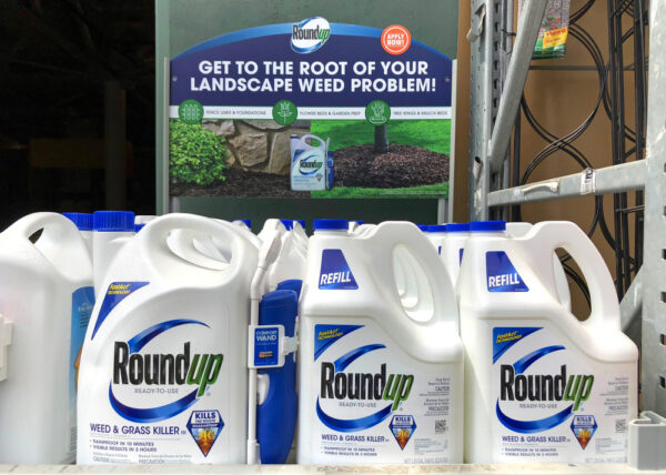 roundup weed and grass killer display at garden store