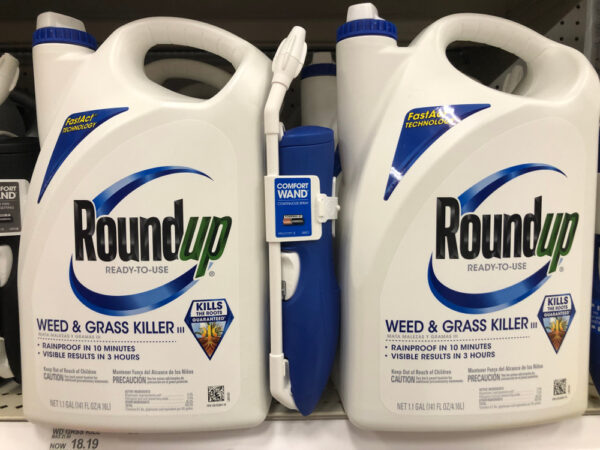 Retailer store shelf with containers of RoundUp weed killer.